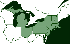 Butler's Rangers, Company Locations